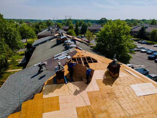 Trusted Storm Damage Roof Repair service in Ford Cliff, PA - Brentwood Metal Roofing